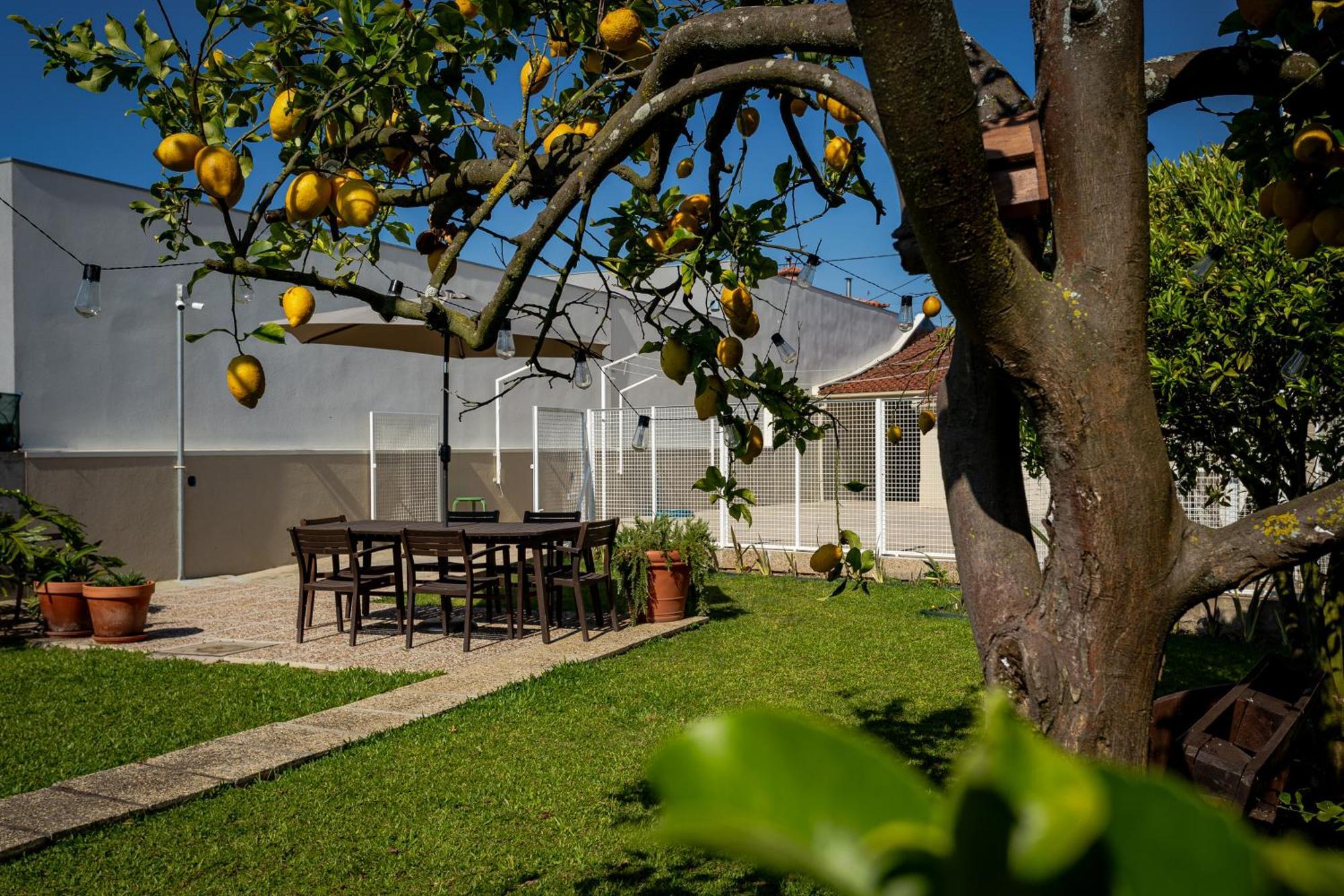 714 Mugnano House Aveleda Villa Vila do Conde Bagian luar foto